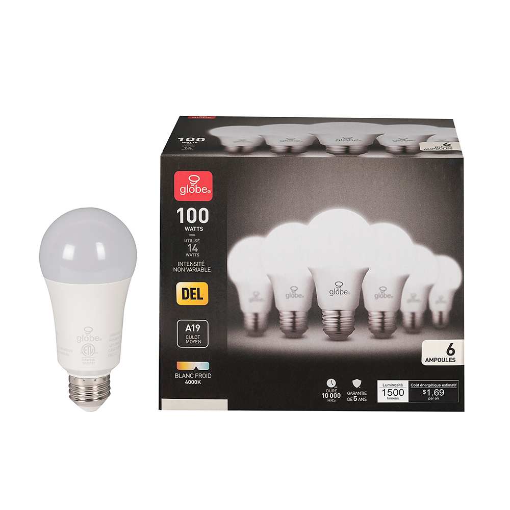 Ampoules DEL A19, 14&nbsp;W blanc froid Pqt/6