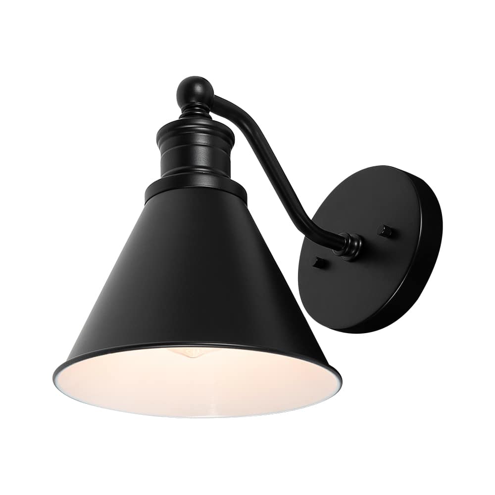 Idoya 1-Light Wall Mount