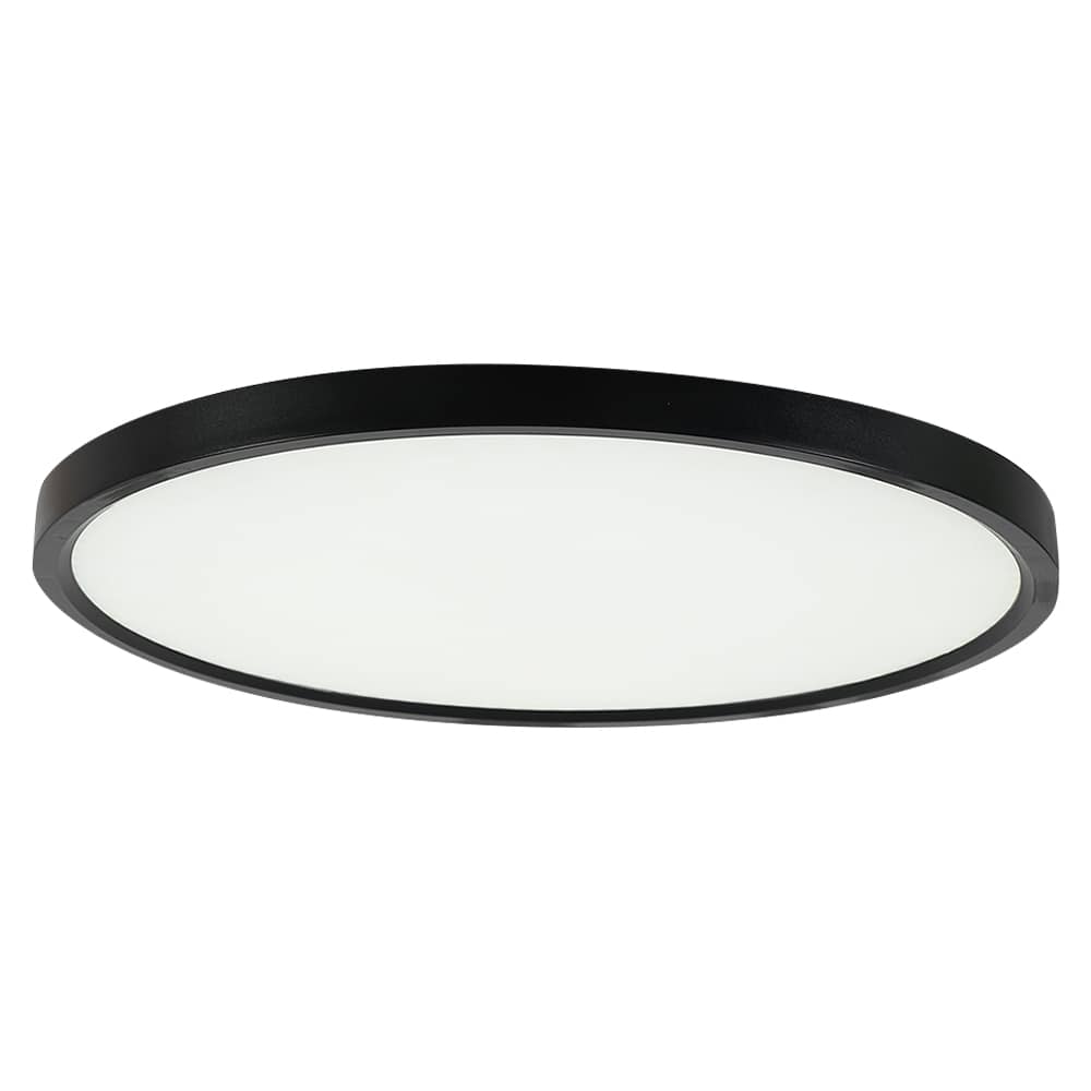 VERTUO Ultra Thin Black LED Flush Mount 12 in.