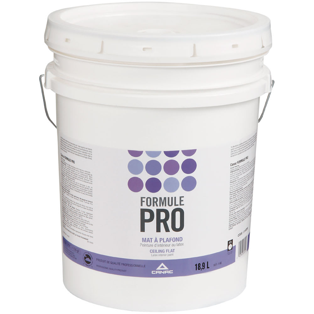 Formule Pro Ceiling Interior Latex Paint Natural White 18.9 L