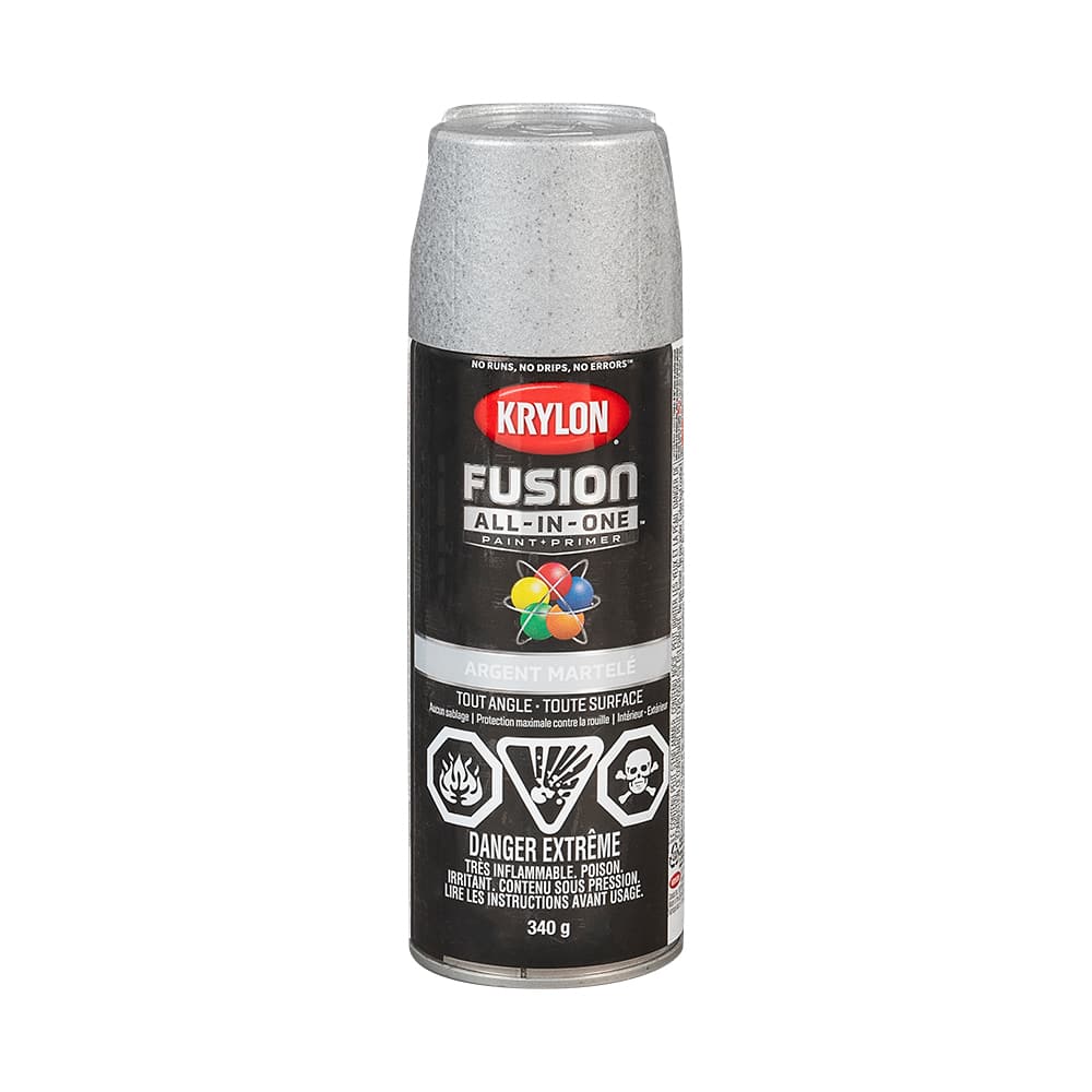 Peinture et apprêt Fusion All-In-One argent martelé 340 g
