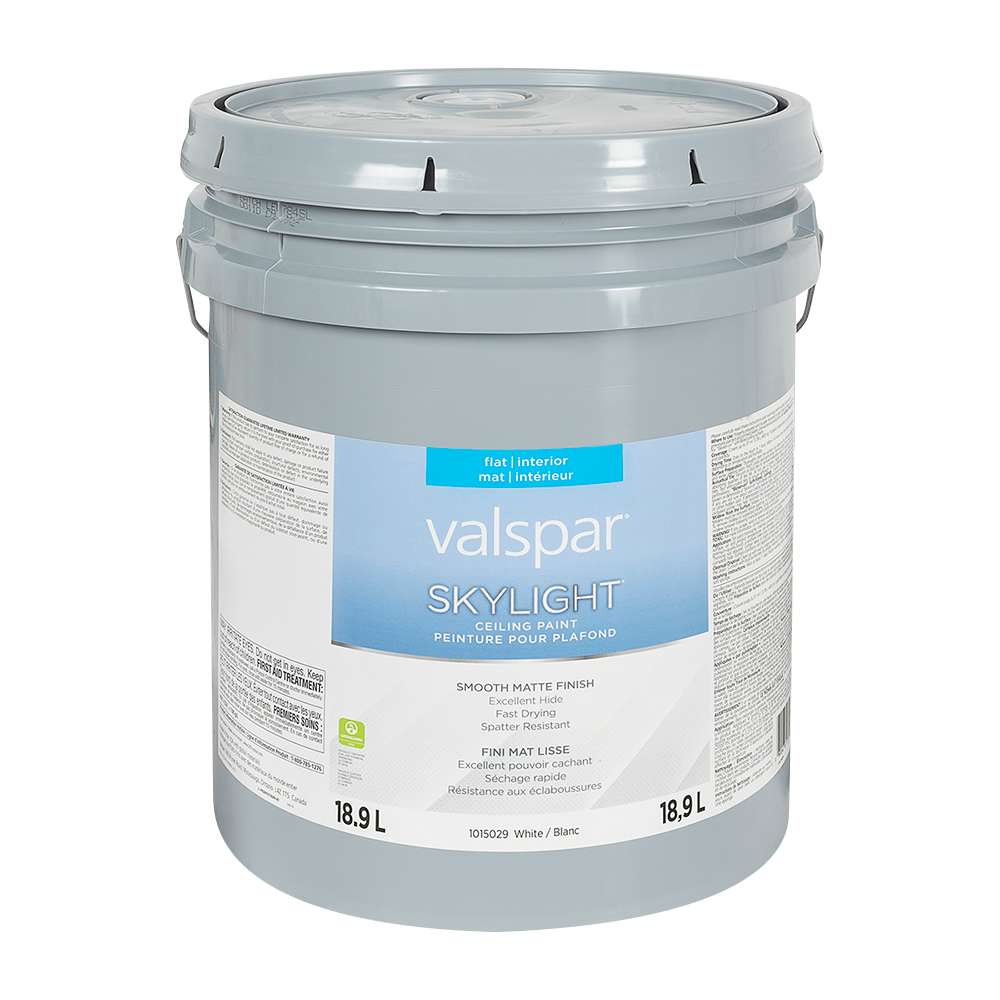 Skylight Interior Latex Paint Mat Ceiling White 18.9 L