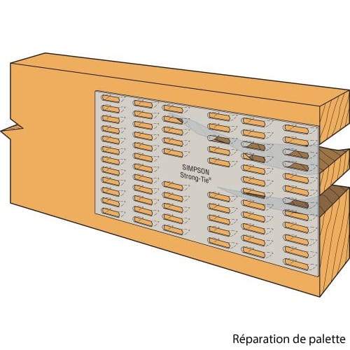 Plaque d'assemblage cloutée 3 po x 6 po