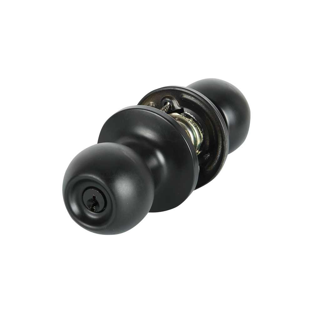 Poignée de porte d'entrée à clé noire