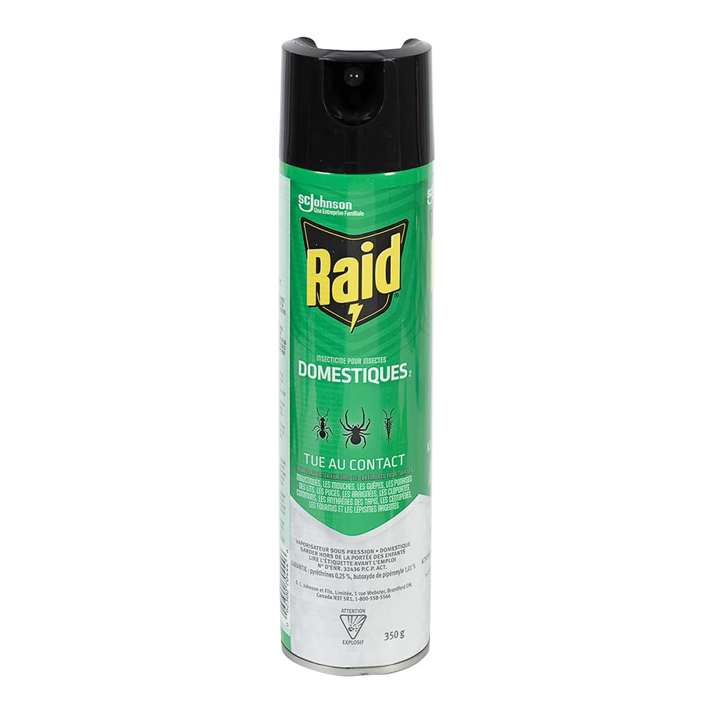 Insecticide pour insectes domestiques Raid 350 g