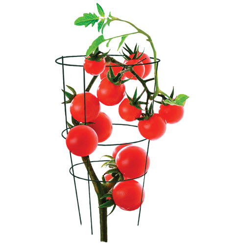 Tuteur pour tomates 12 po x 33 po