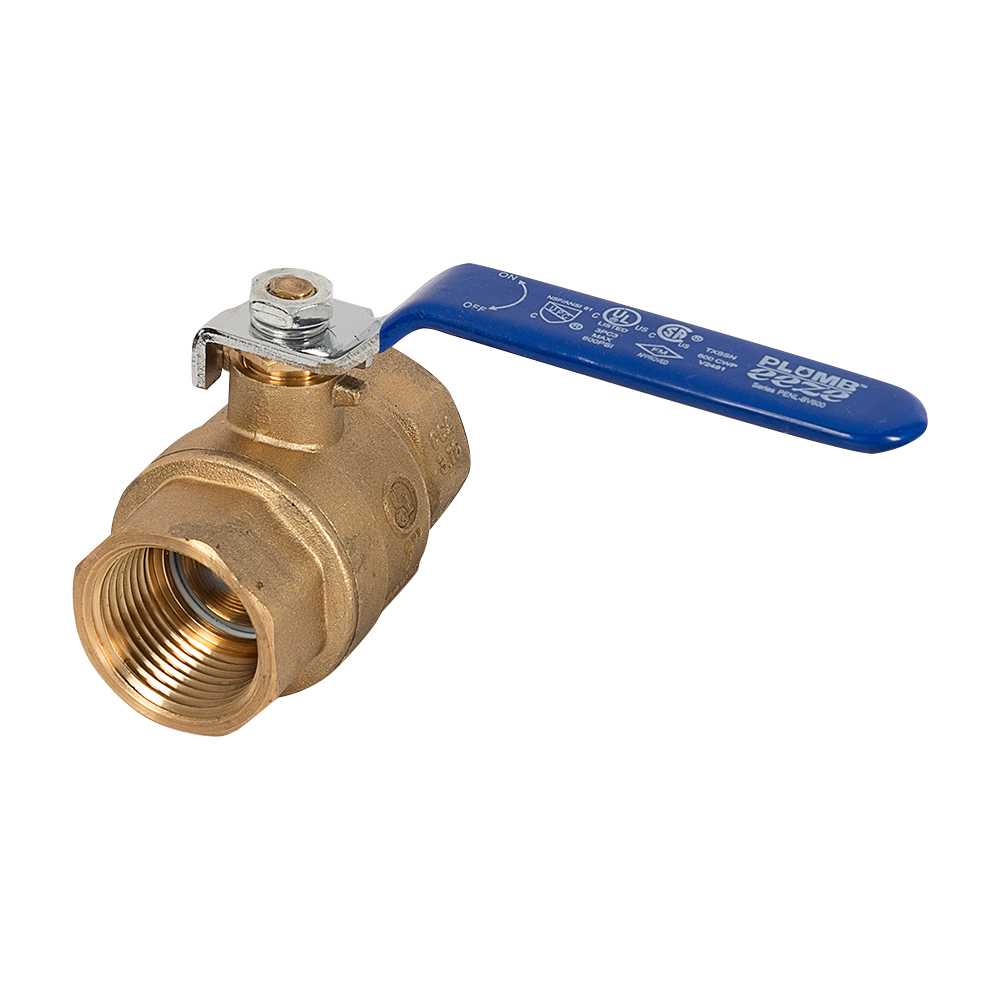 Ball Valve 1 in. x 1 in. FPT