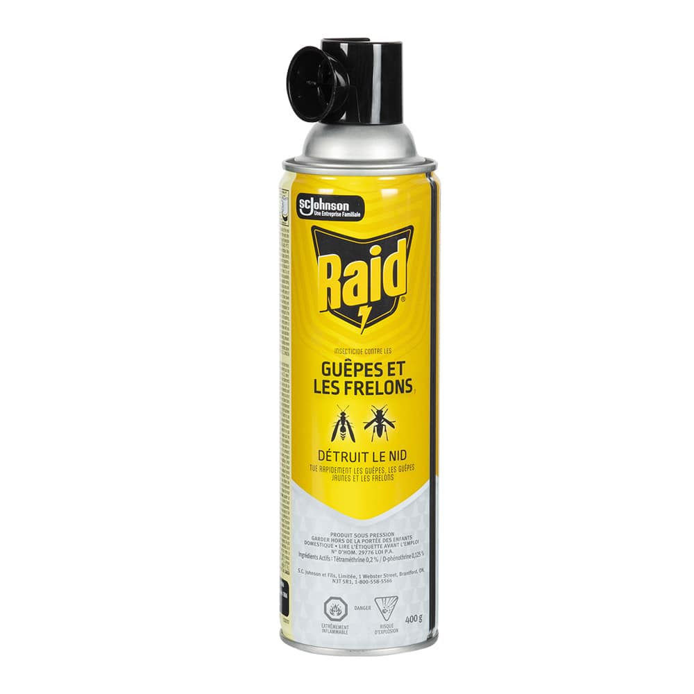 Raid Wasp & Hornet Insecticide 400 g