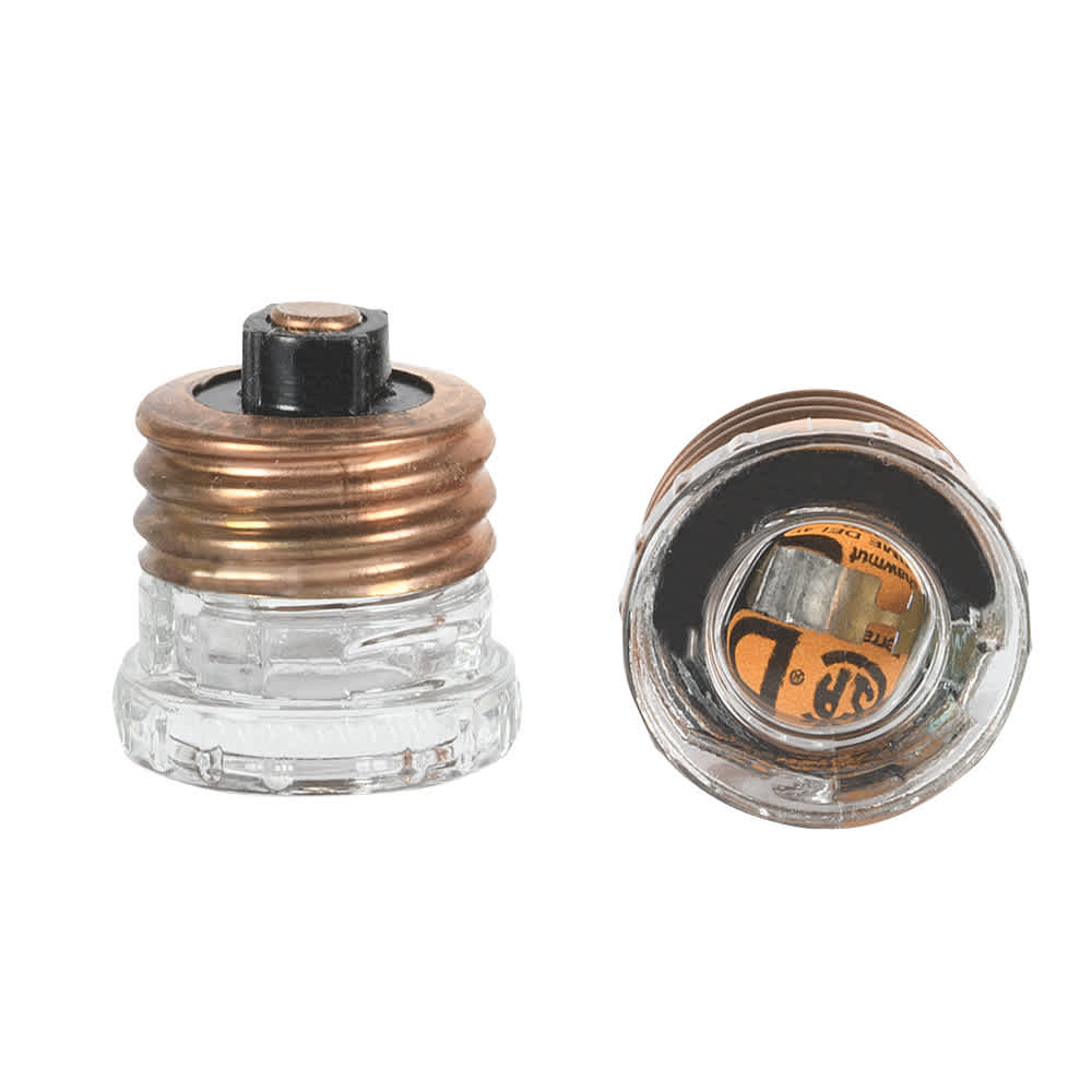 Time Delay Fuse 20 A Pkg/2