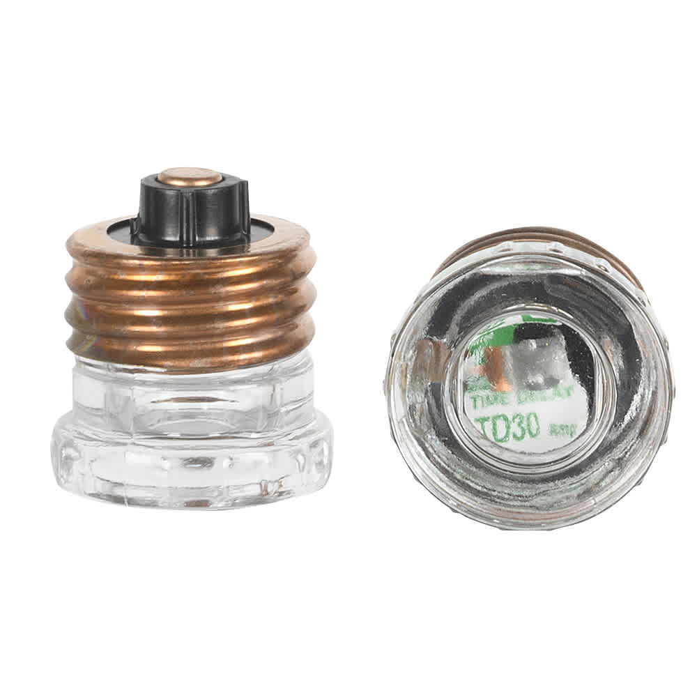 Time Delay Fuse 30&nbsp;A Pkg/2