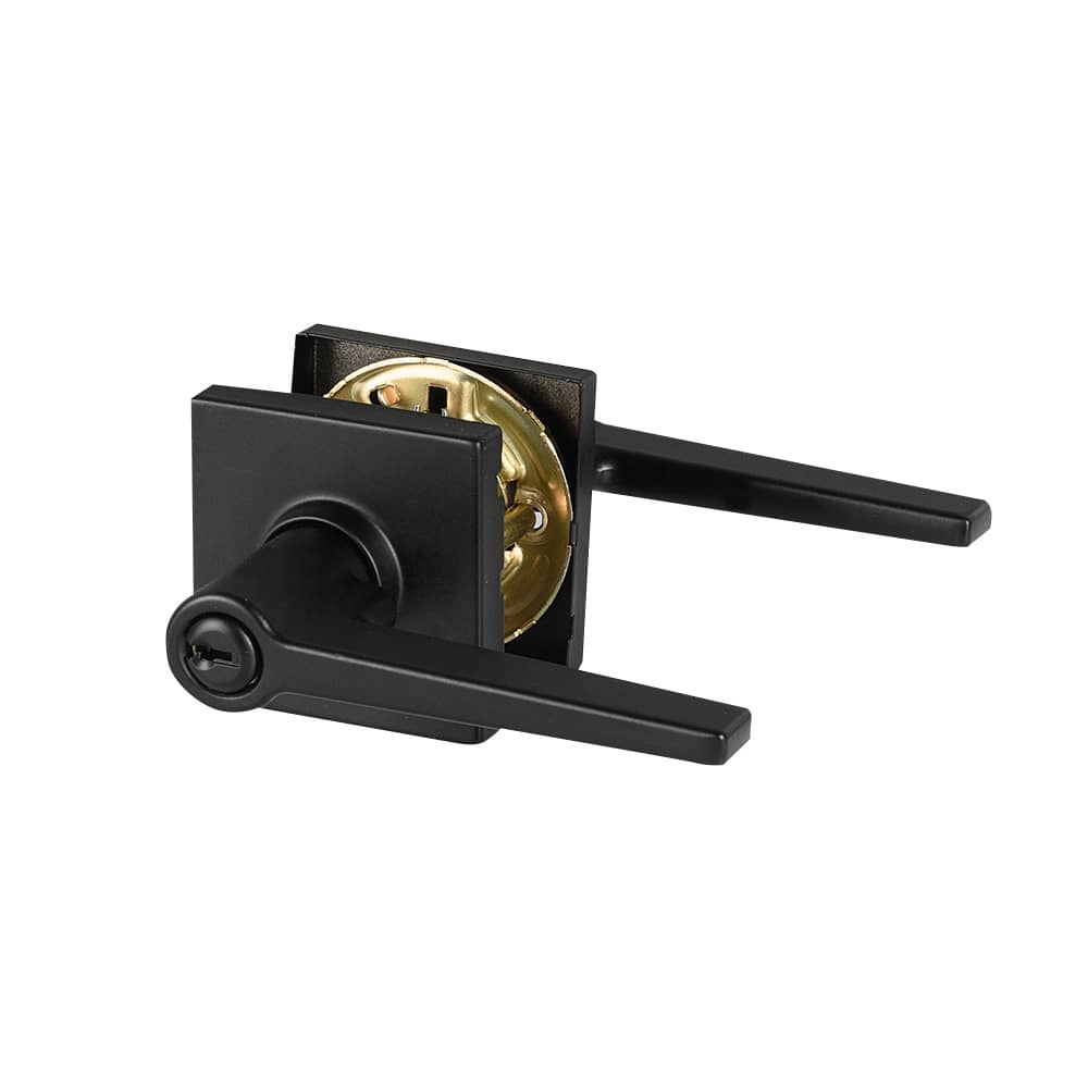 Poignée de porte d'entrée à clé bec-de-cane  Daylon noire