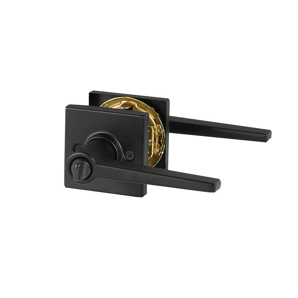 Poignée de porte d'entrée à clé bec-de-cane  Daylon noire