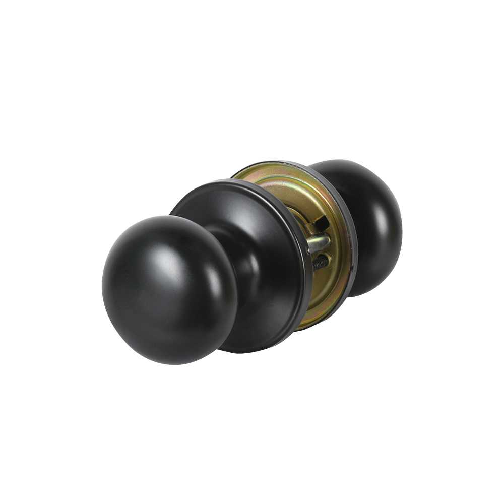 Poignée de porte de passage Stratus noire