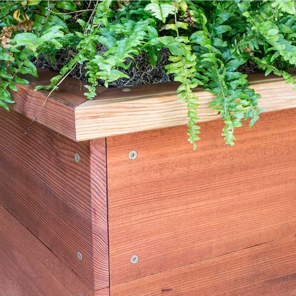 Vis à bois structurelle FRAMING 4&nbsp;po T.P. tan Pqt/50