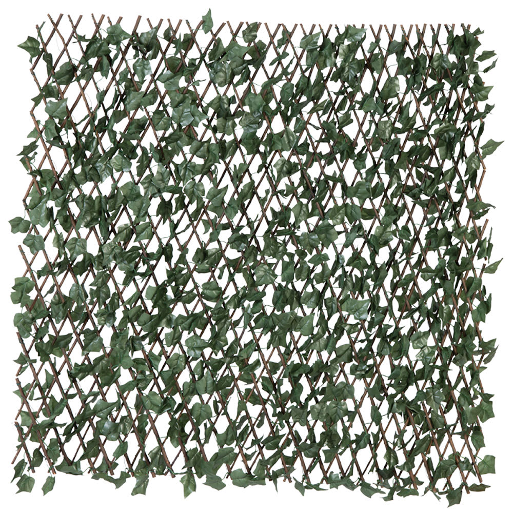 Treillis à feuillage extensible Vigne 39 po x 77 po VERTUO