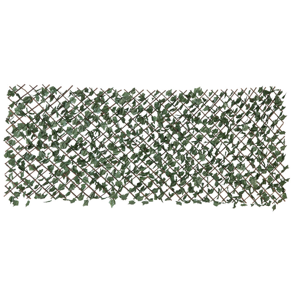 Treillis à feuillage extensible Vigne 39 po x 77 po VERTUO