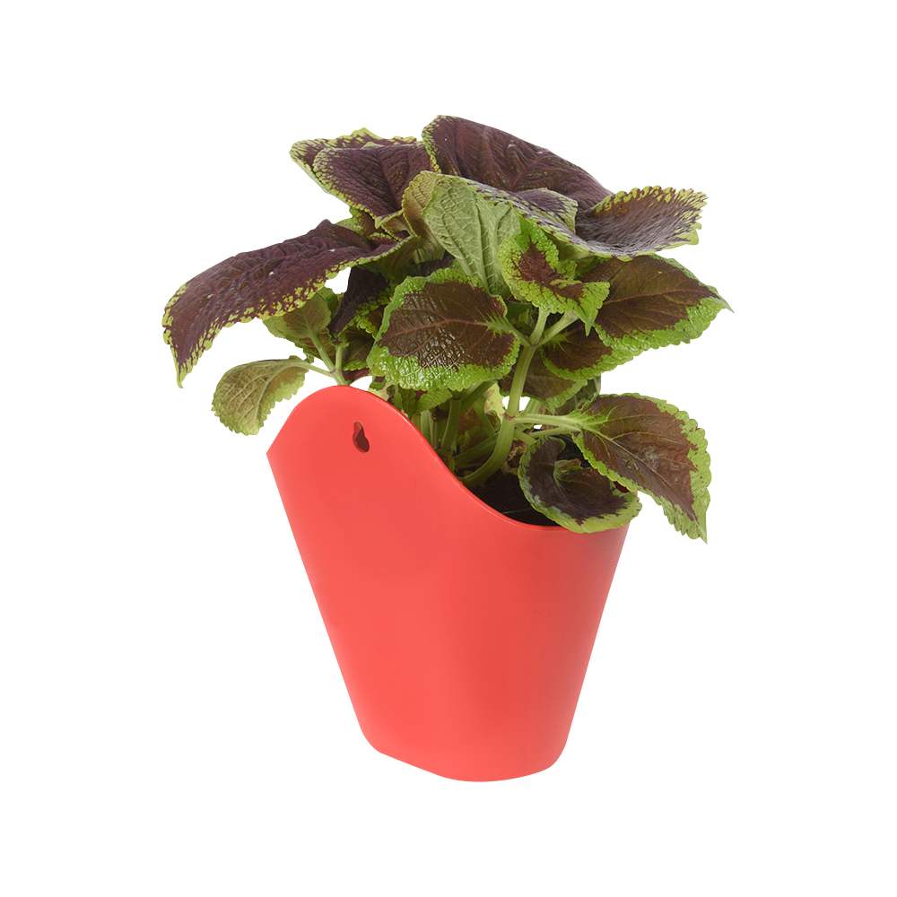 Oval Wall Mount Flower Pot 8&nbsp;1/2&nbsp;in.