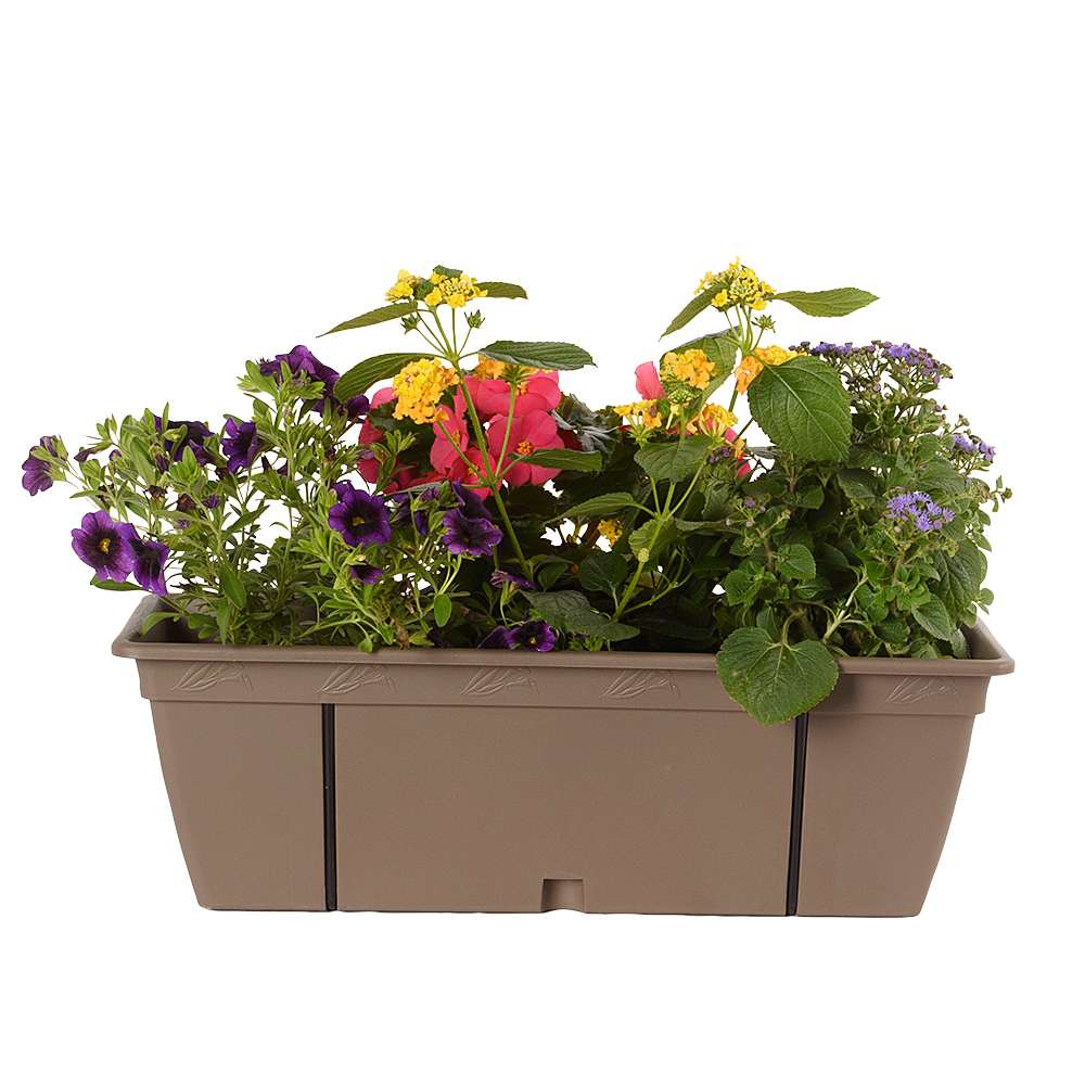 Jardinière Panorama 19 1/2 po