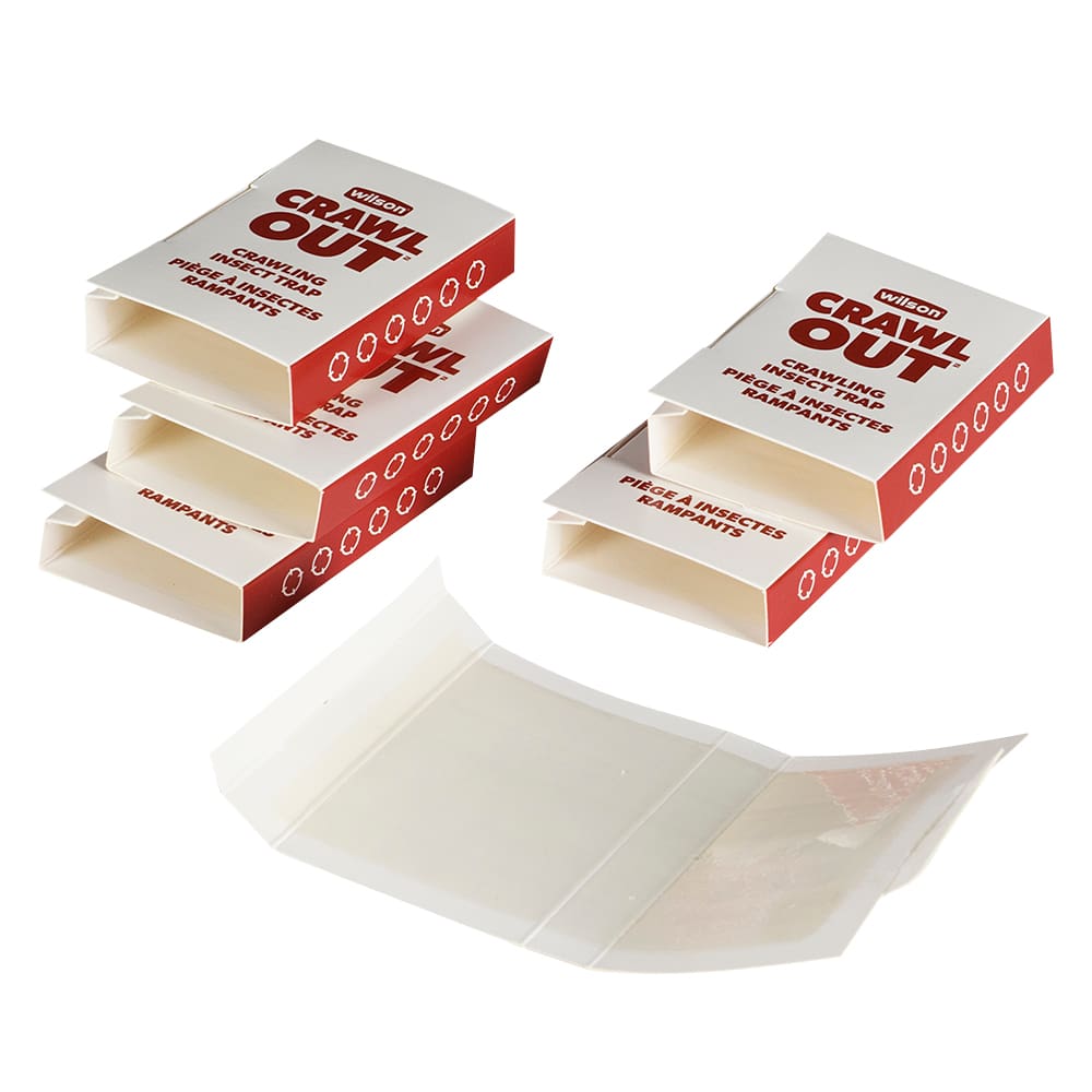 Pièges pour insectes rampants Pqt/6