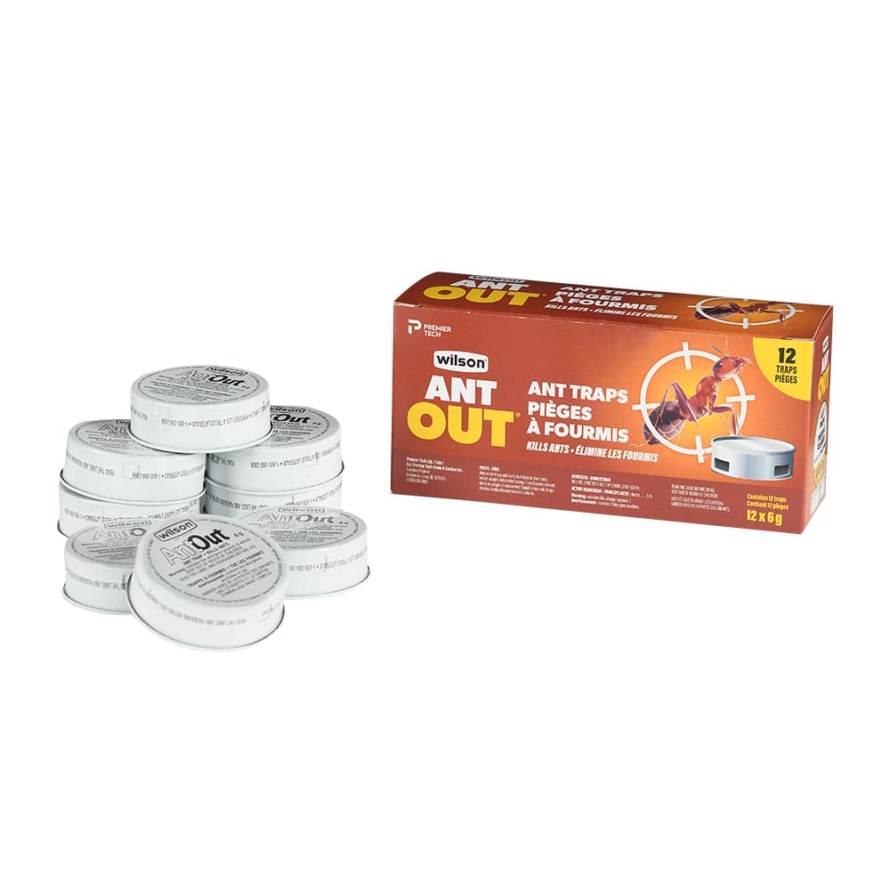 Pièges à fourmis Pqt/12