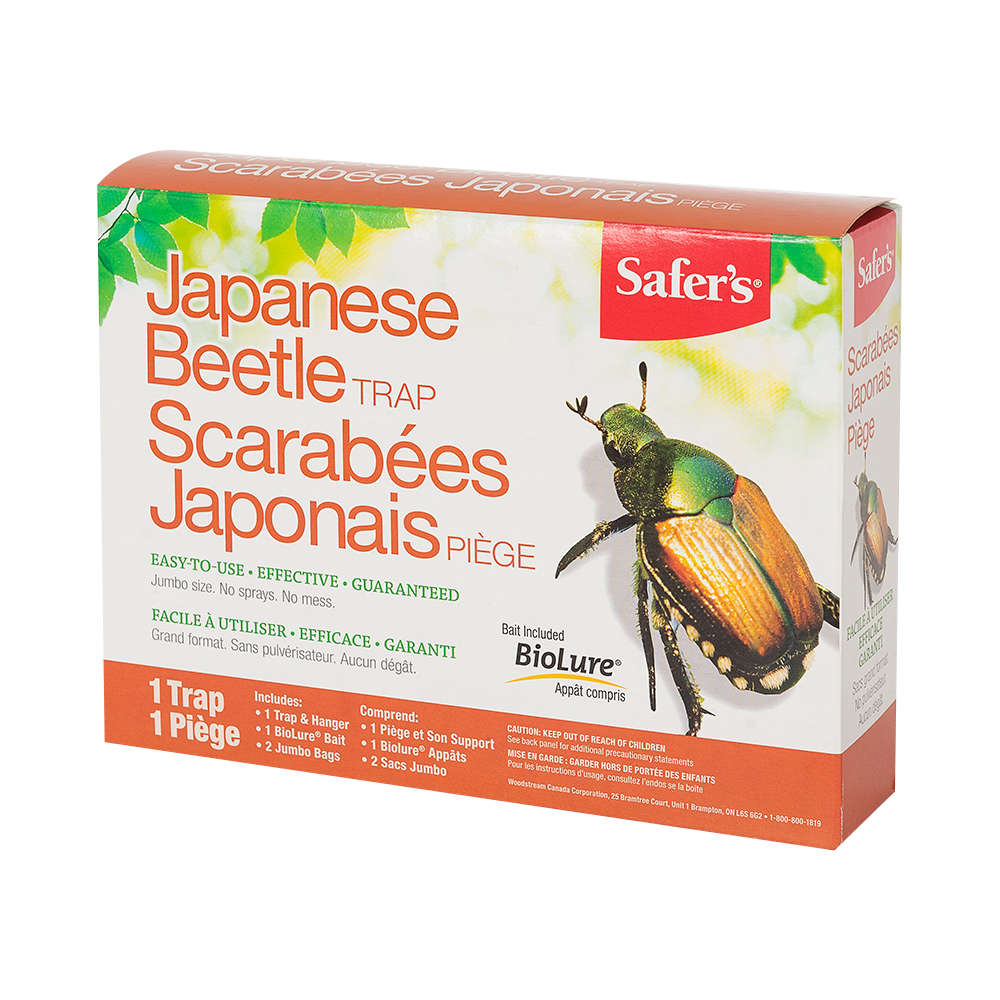 Piège à scarabées
