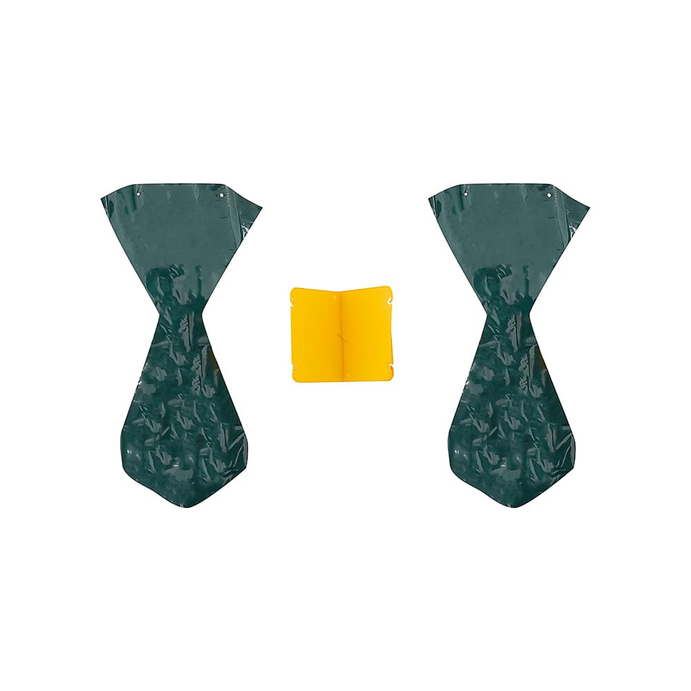 Piège à scarabées