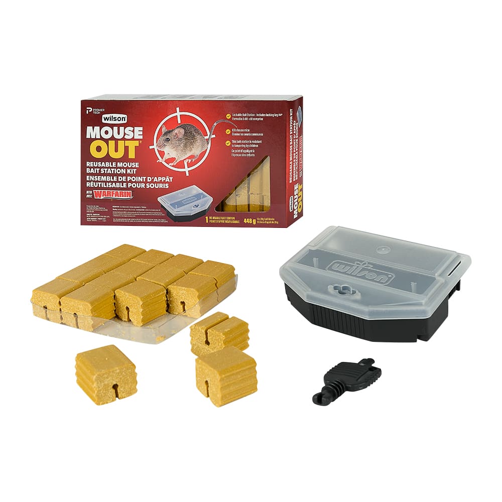 Ensemble de point d'appât à souris Warfarin 448 g