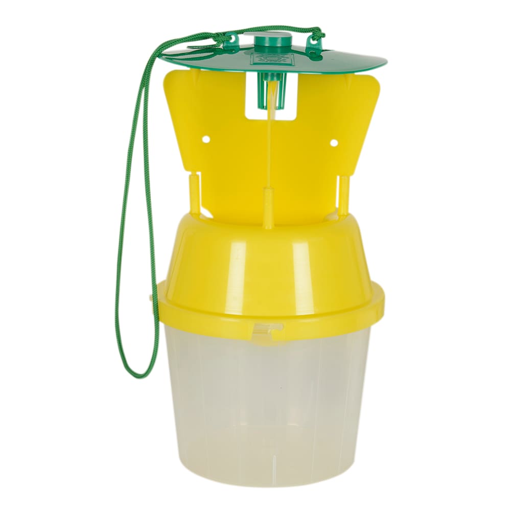 Piège à scarabées japonais