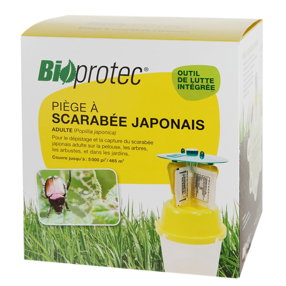 Piège à scarabées japonais