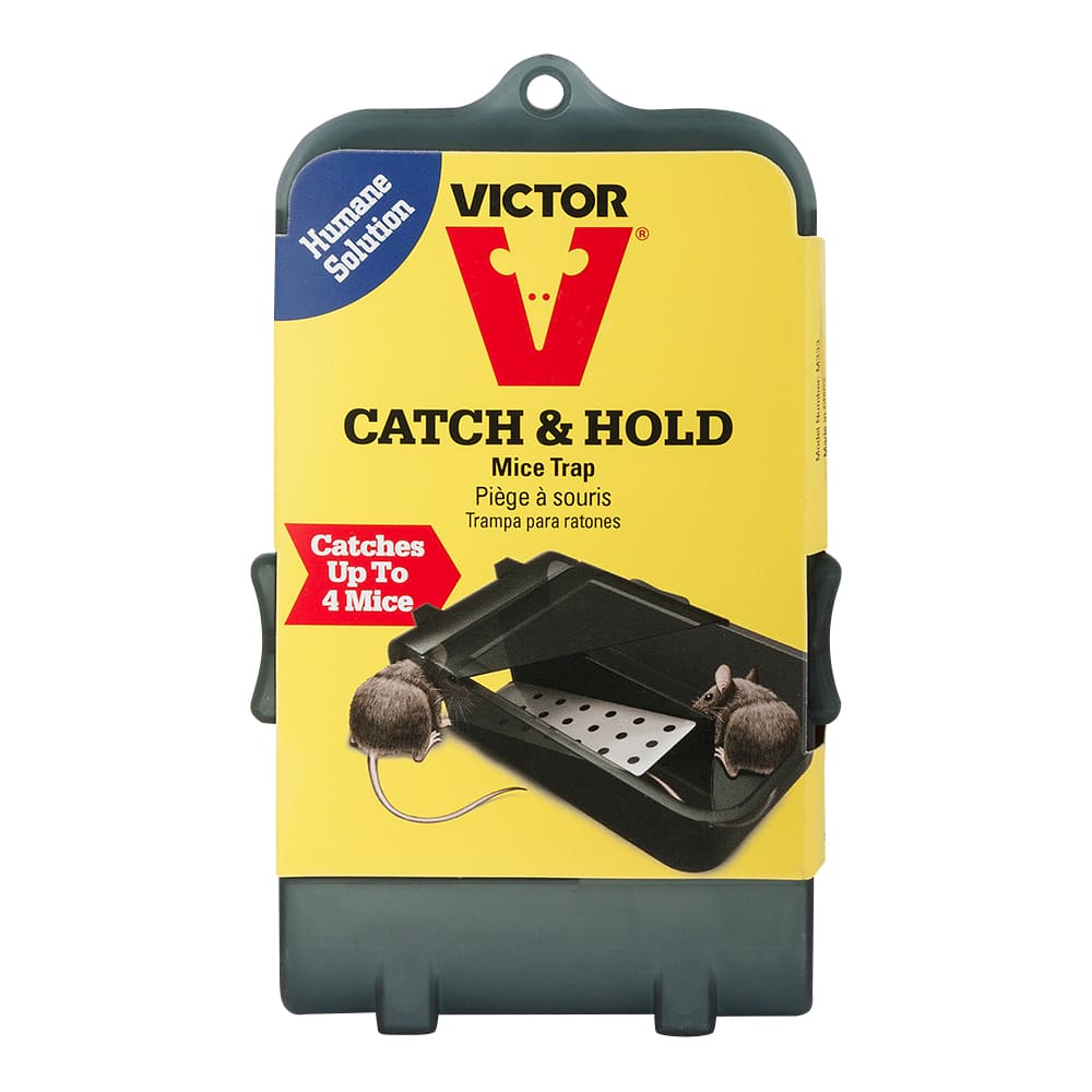 Catch & Hold Mouse Trap