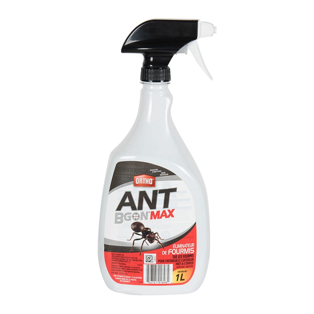 Éliminateur de fourmis Ant-B-Gon Max 1 L