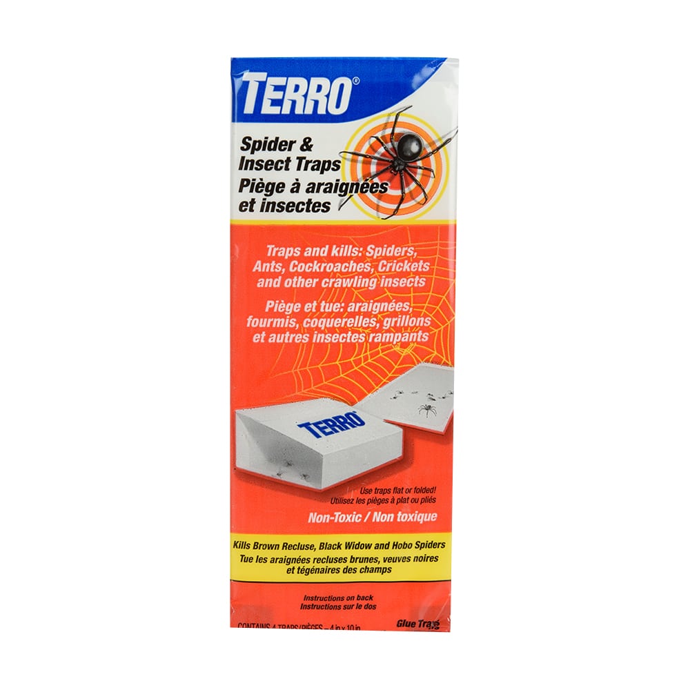 Pièges à araignées et insectes Pqt/4