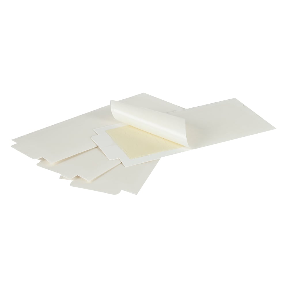 Pièges à araignées et insectes Pqt/4