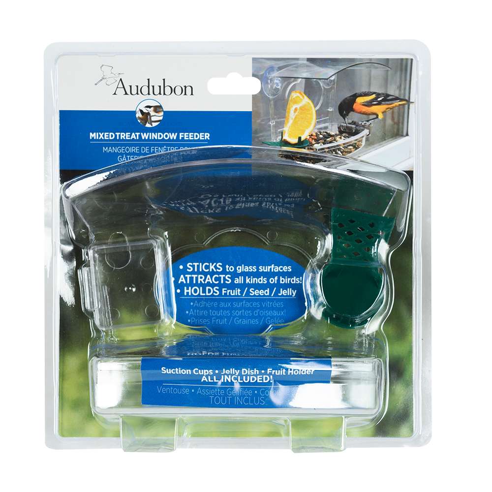 Mangeoire de fenêtre pour oiseaux