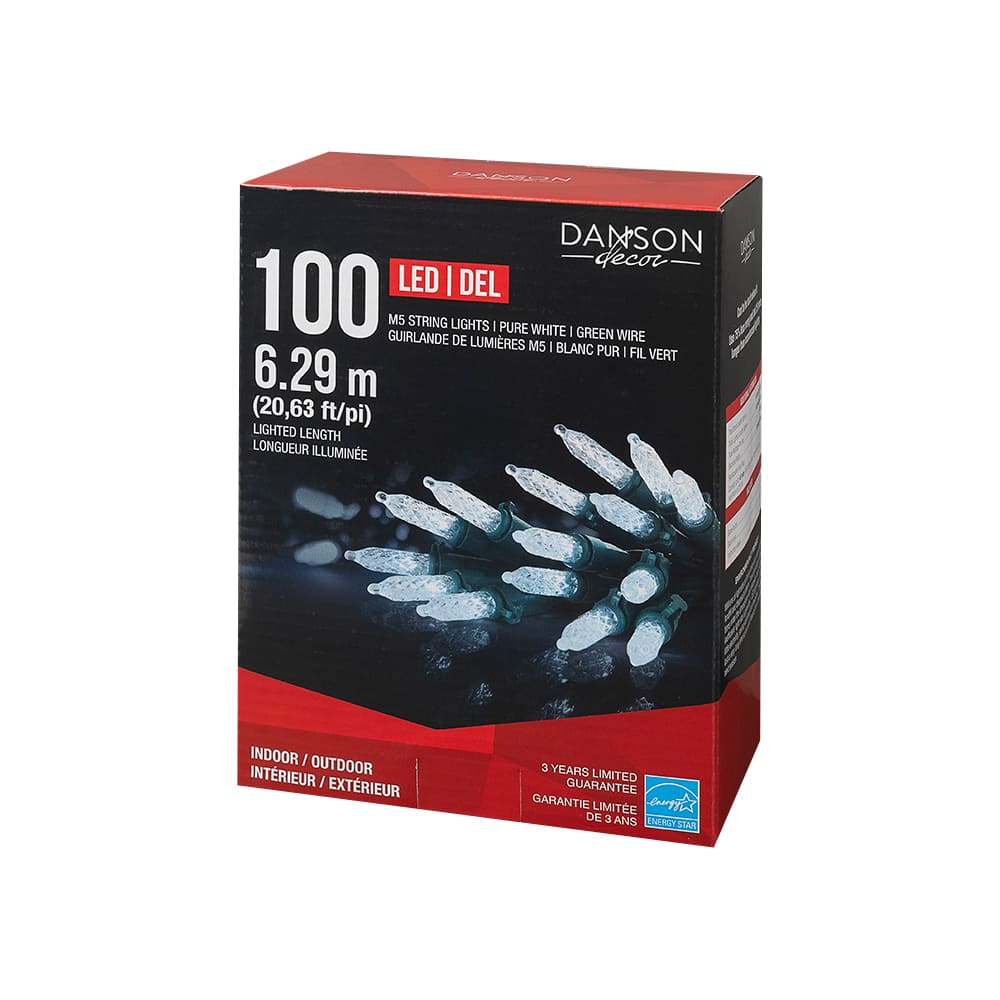 Jeu de 100 lumières DEL M5 mini blanc pur