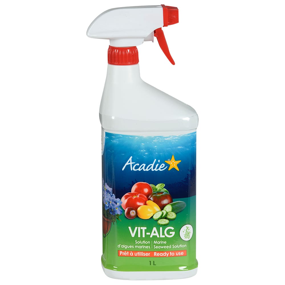 Solution d'algues marines 1 L