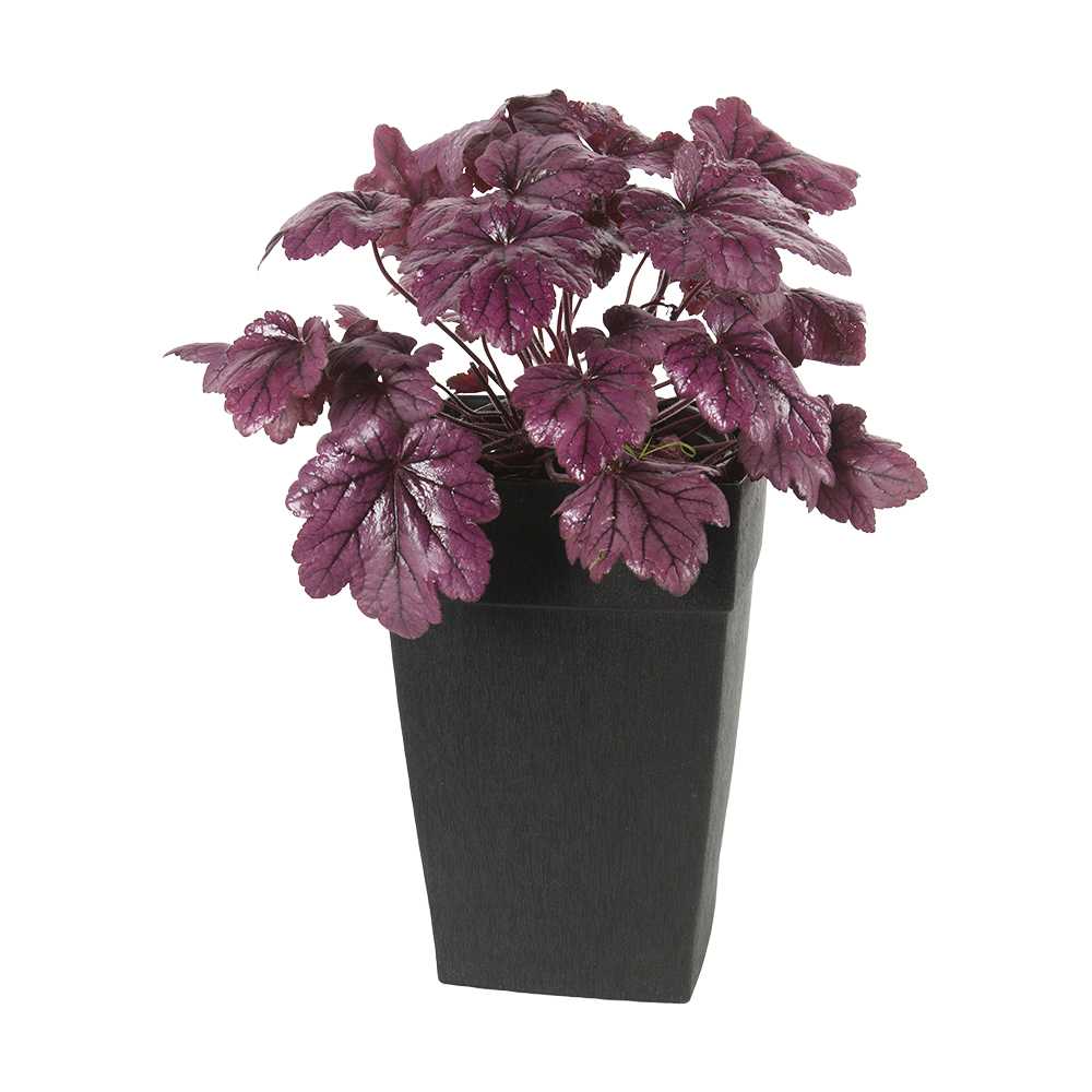 Pot à fleurs Mélodie 12 1/4 po