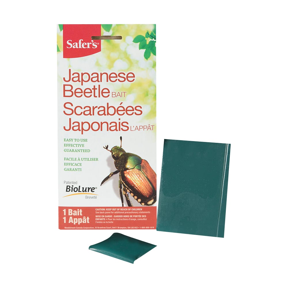 Japanese Beetle Bait