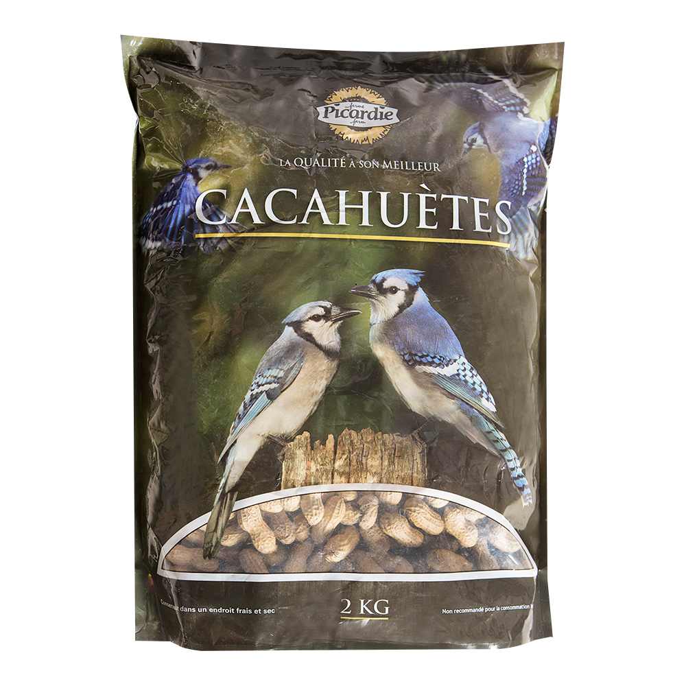 Peanut Bird Feed 2 kg