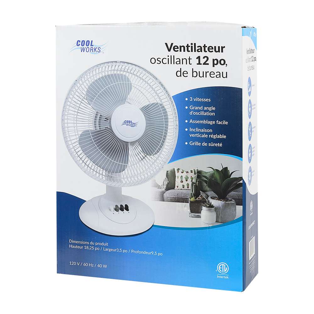 Oscillating Desk Fan 12 in.