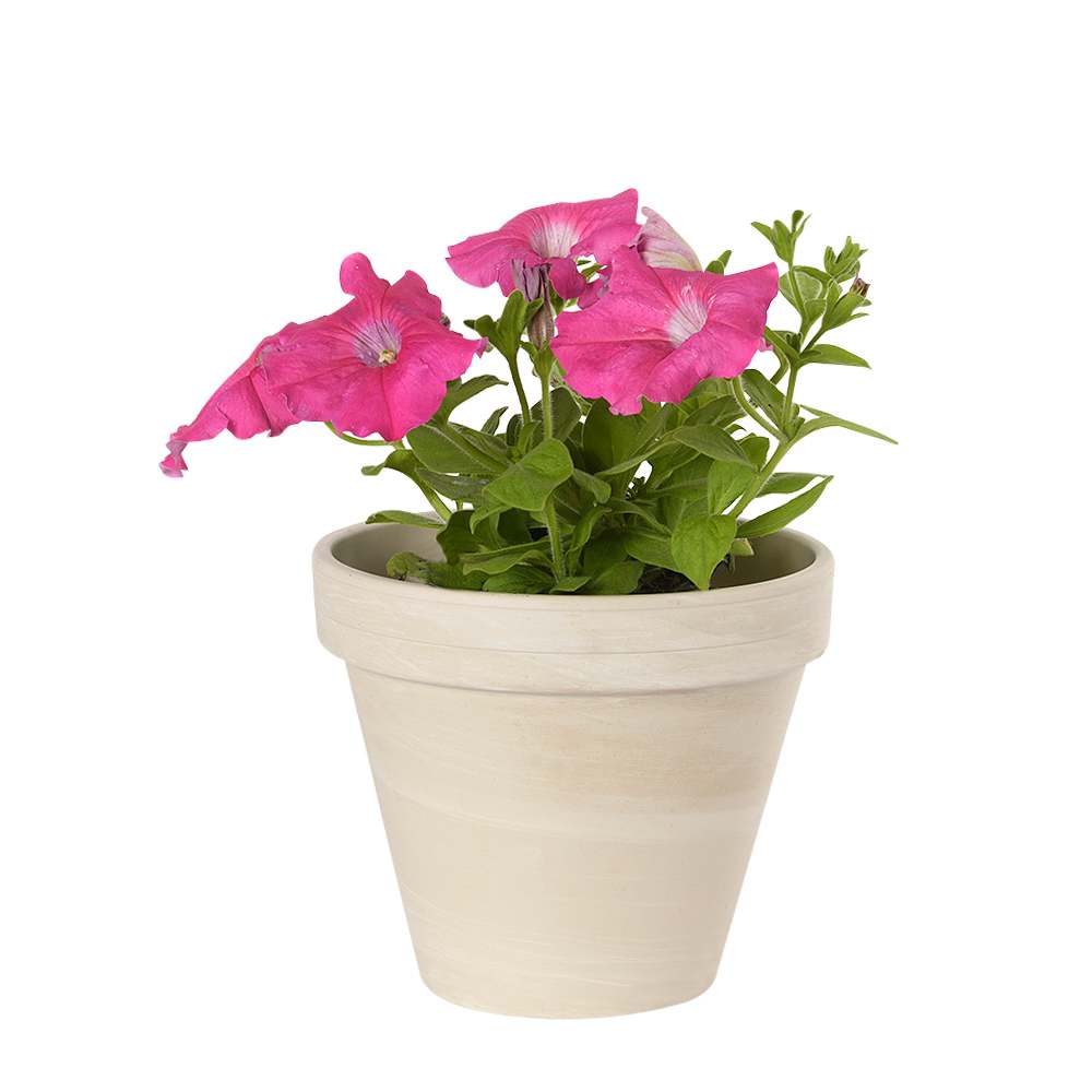 Pot à fleurs Granit 8 po