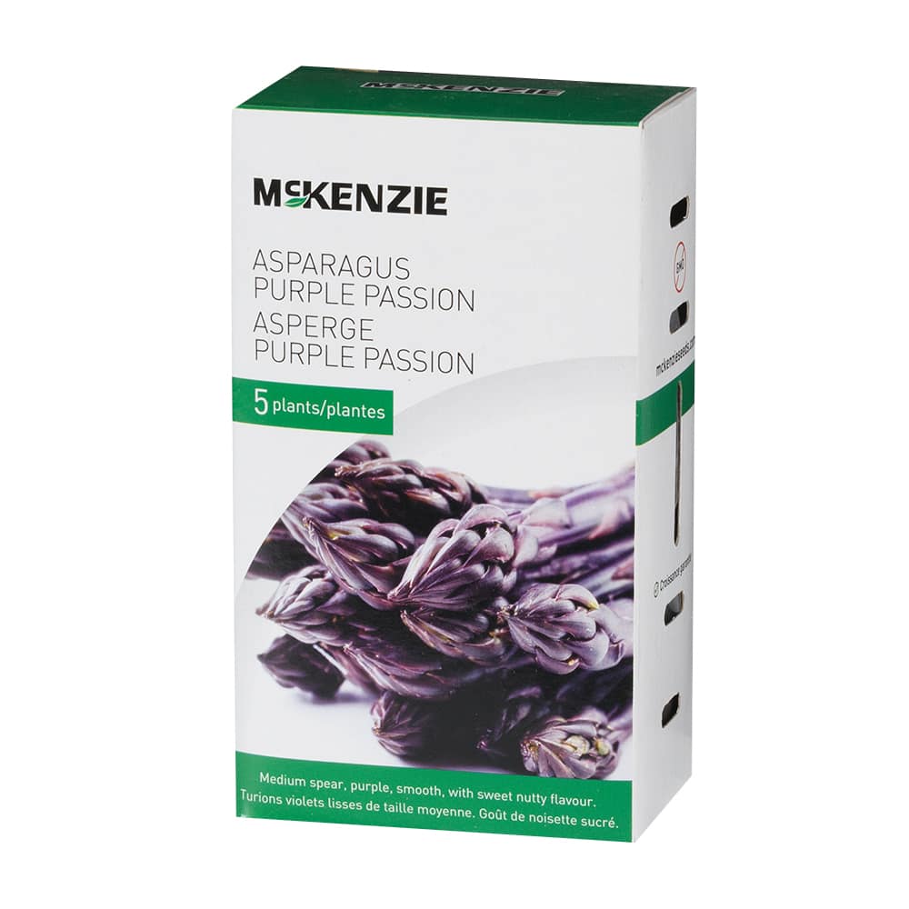 Asperges Purple Passion Pqt/5 plants
