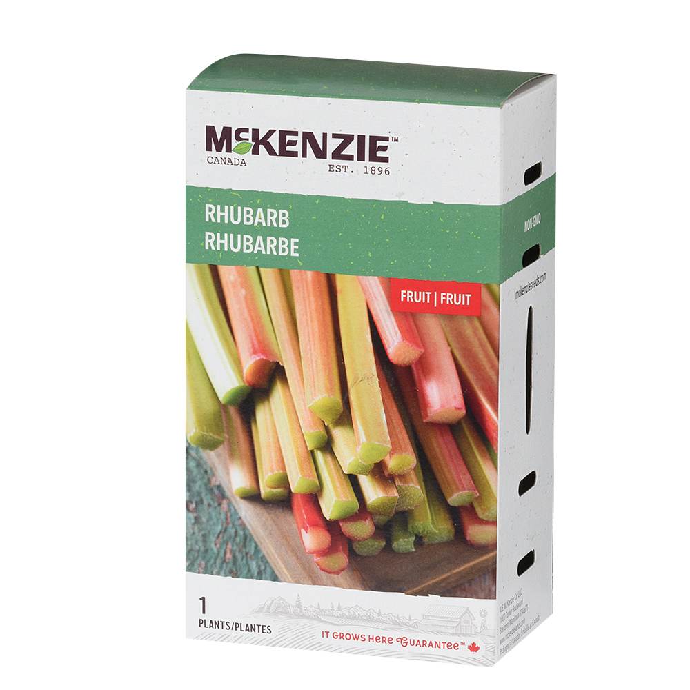 Rhubarbe Pqt/1&nbsp;plant