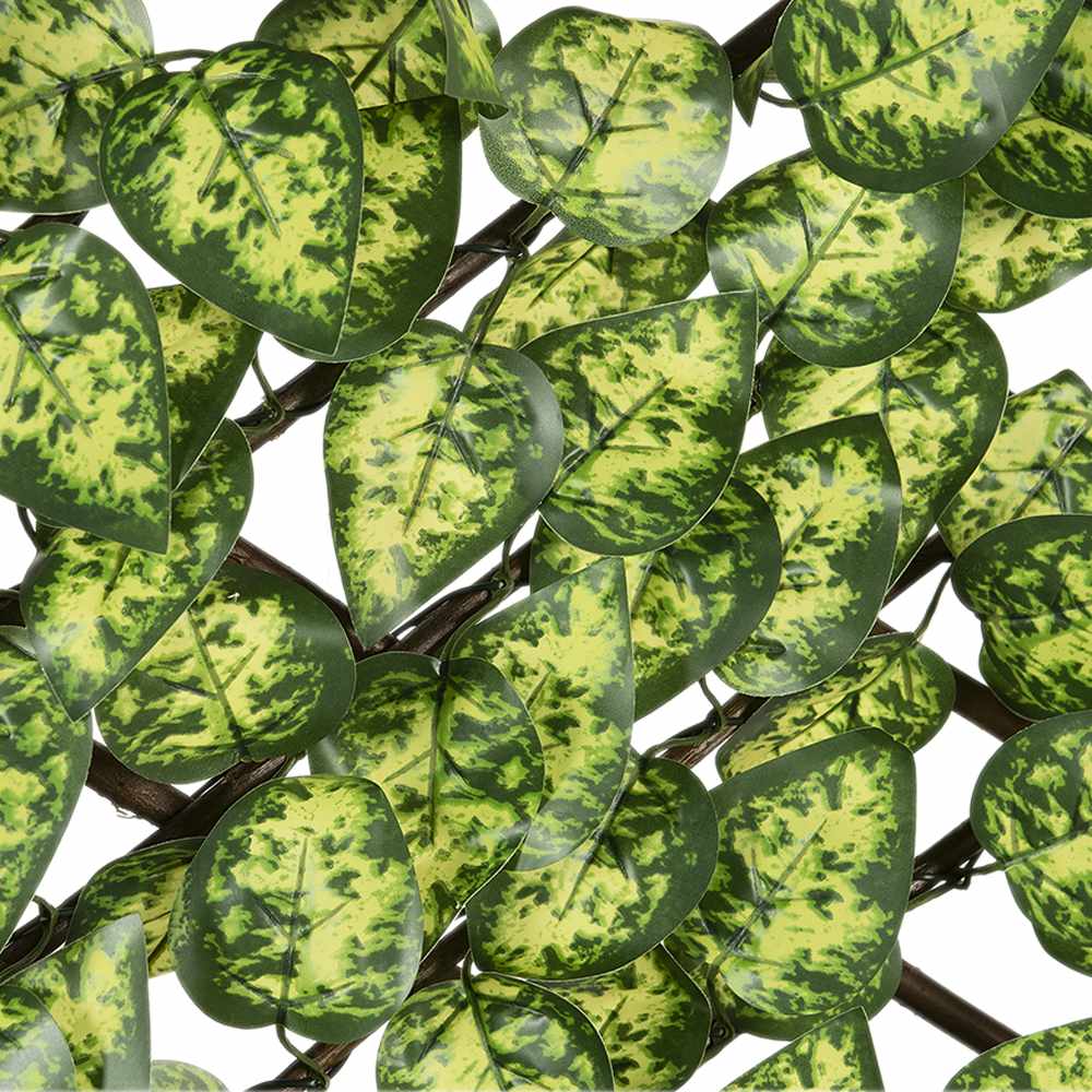 Treillis extensible à feuillage Pothos 39&nbsp;po&nbsp;x&nbsp;79&nbsp;po VERTUO