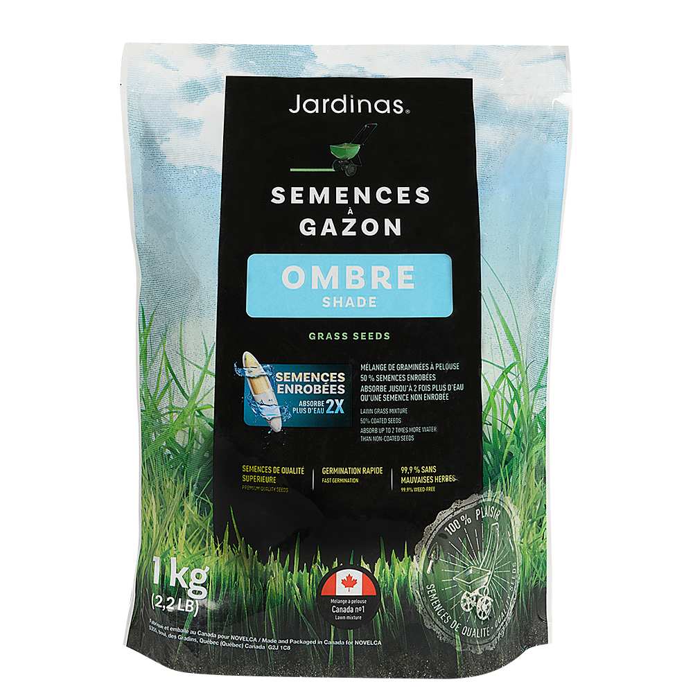 Semences à gazon mélange ombre 1&nbsp;kg
