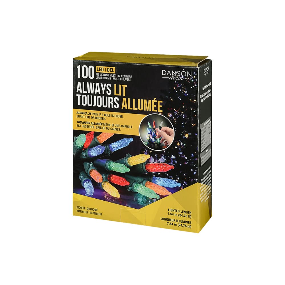 Jeu de 100 lumières DEL M5 multicolore