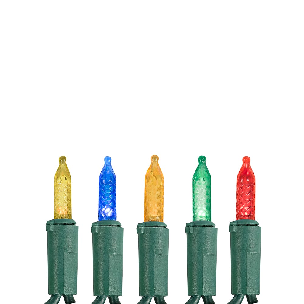 Jeu de 100 lumières DEL M5 multicolore