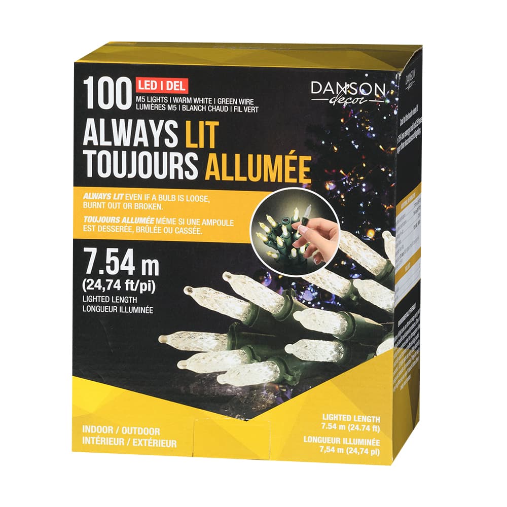 Jeu de 100 lumières DEL M5 blanc chaud