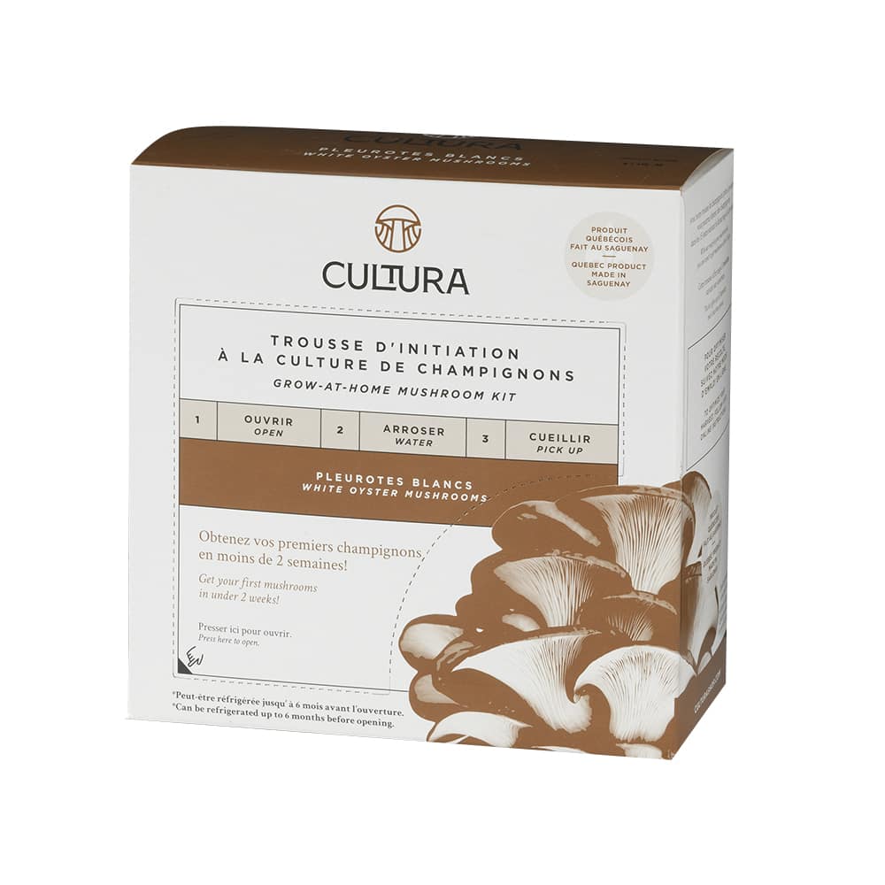 Trousse de culture de champignons Pleurotes blancs