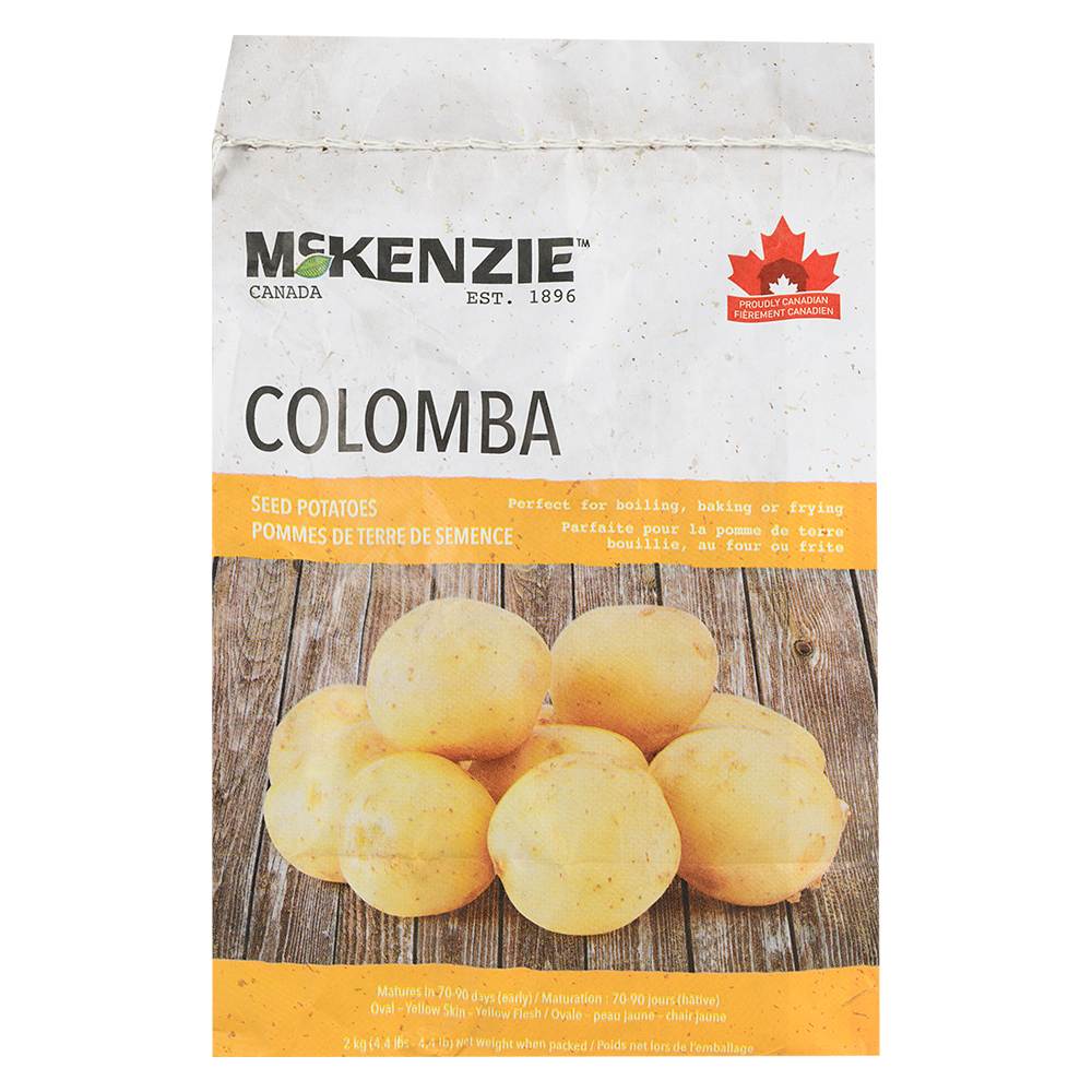 Pommes de terre de semence Colomba 2 kg